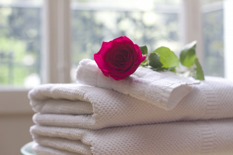 hotel-MONTFORT SUR ARGENS-min_towel_rose_clean_care_salon_spa_white_bath-731641